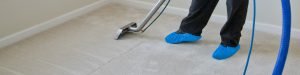 Move-in and move-out services include carpet cleaning